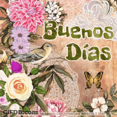 Buenos Dias Con Mariposas GIF