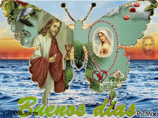 Buenos Dias Con Mariposas GIF