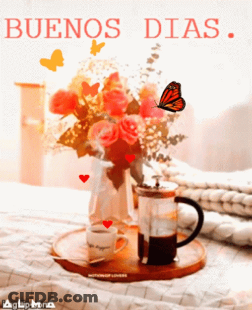 Buenos Dias Con Mariposas GIF