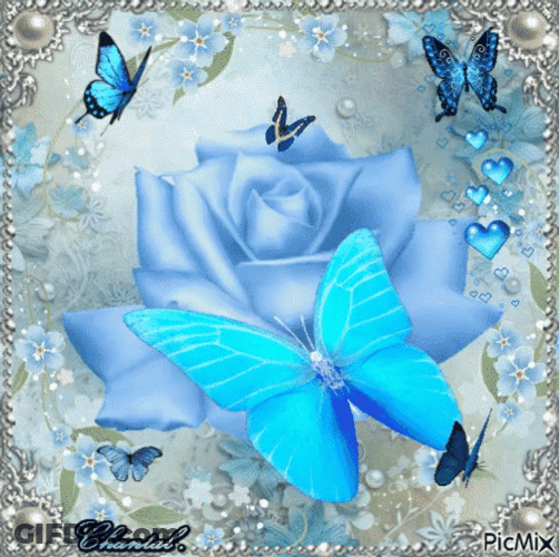 Buenos Dias Con Mariposas GIF