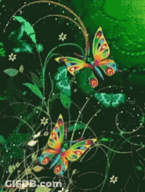 Buenos Dias Con Mariposas GIF