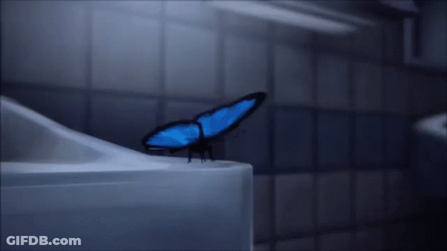 Buenos Dias Con Mariposas GIF