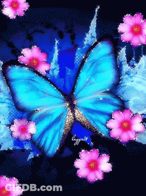 Buenos Dias Con Mariposas GIF