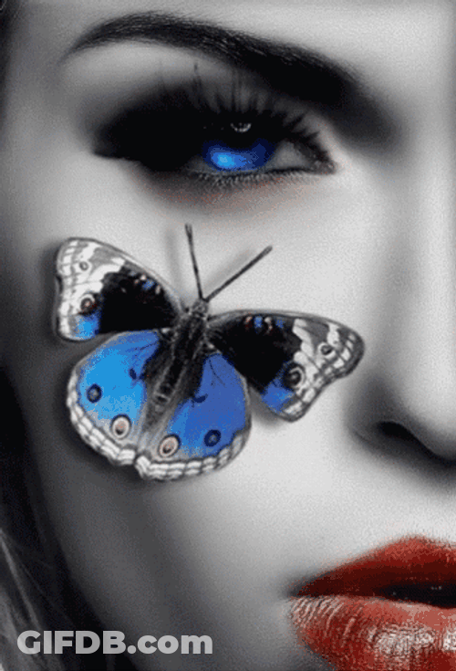 Buenos Dias Con Mariposas GIF