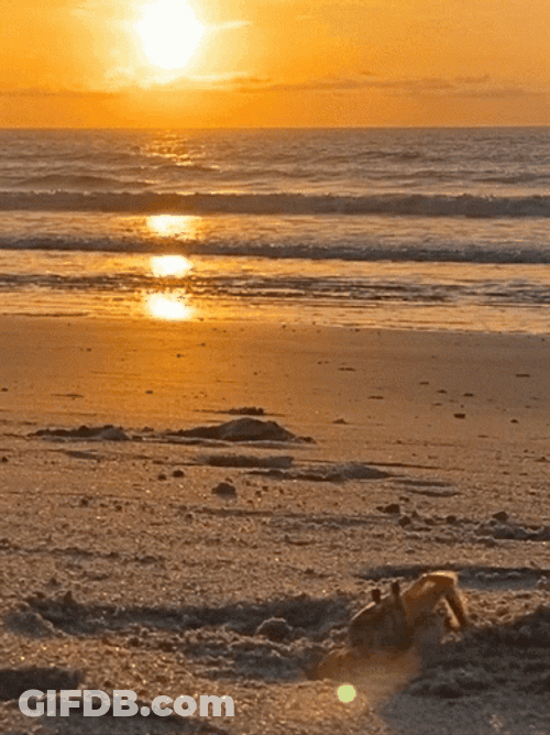 Buenos Dias Corazon GIF