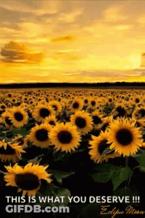 Buenos Dias Corazon GIF
