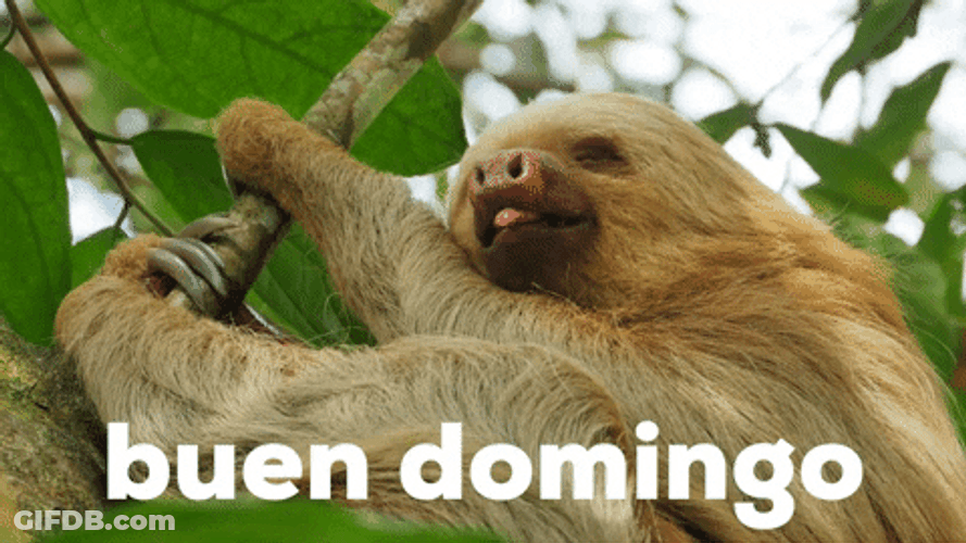 Buenos Dias Domingo GIF