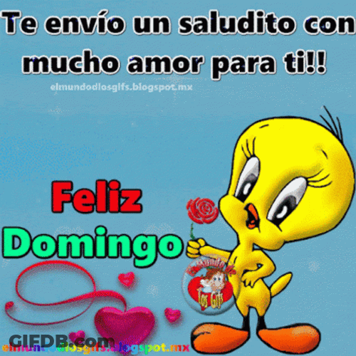 Buenos Dias Domingo GIF