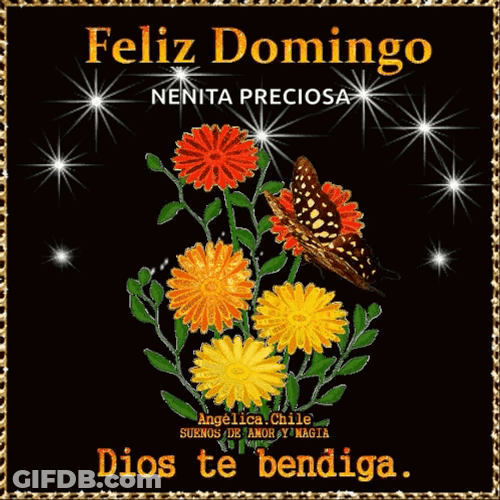 Buenos Dias Domingo GIF