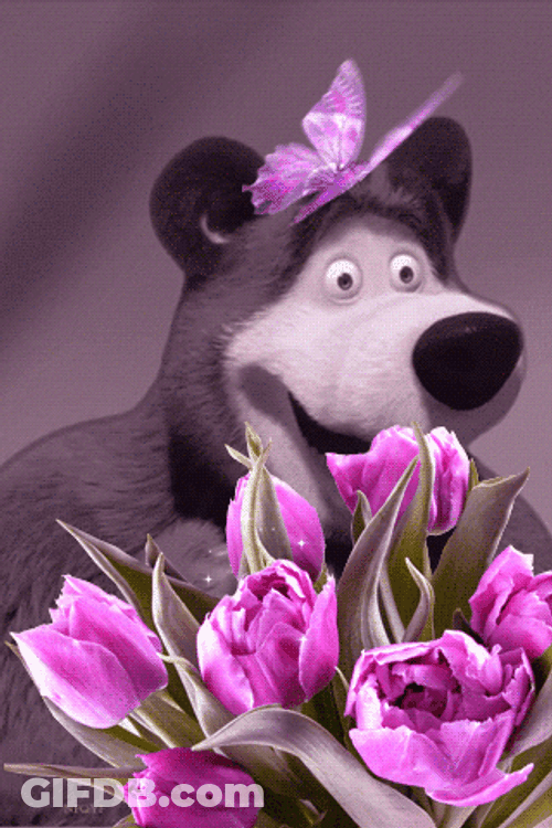 Buenos Dias Domingo GIF