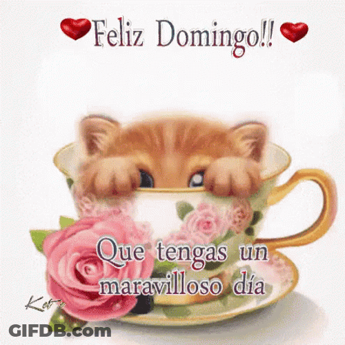Buenos Dias Domingo GIF