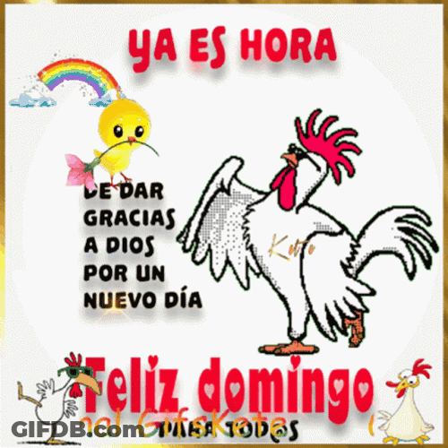 Buenos Dias Domingo GIF