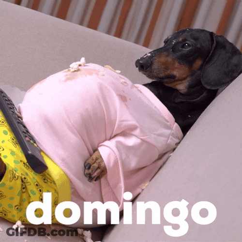 Buenos Dias Domingo GIF