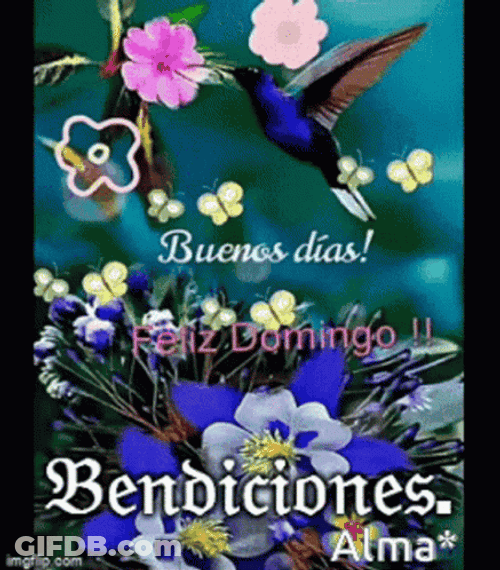 Buenos Dias Domingo GIF
