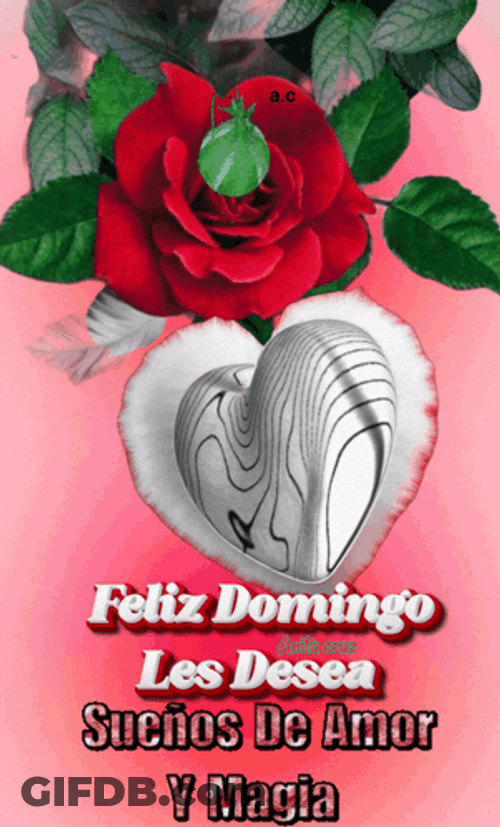 Buenos Dias Domingo GIF