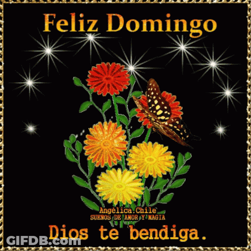 Buenos Dias Domingo GIF