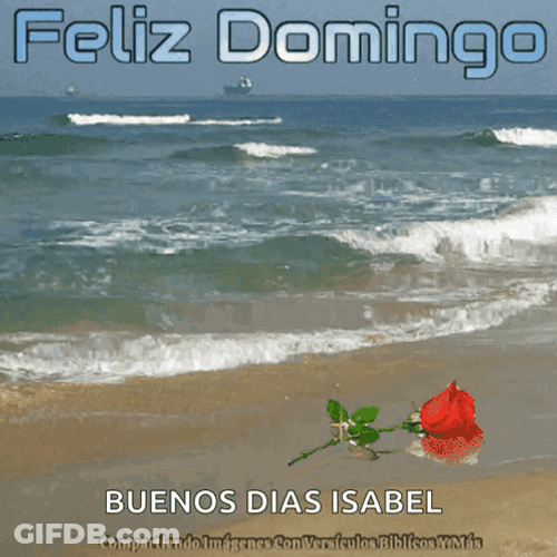Buenos Dias Domingo GIF