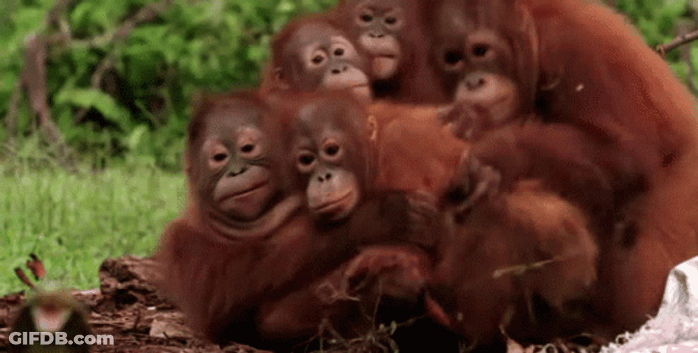Buenos Dias Familia GIF