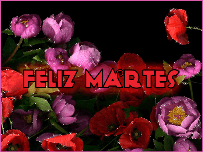 Buenos Dias Feliz Martes Red Pink Roses GIF