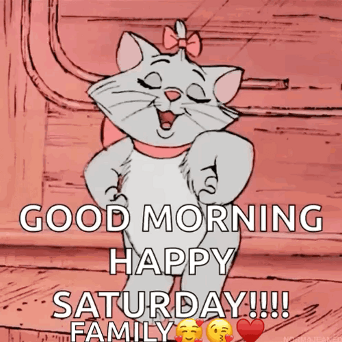 Buenos Dias Feliz Sabado Cat Happy Dance GIF