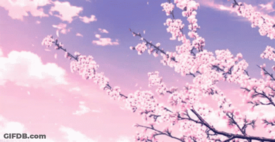 Buenos Dias Flores GIF