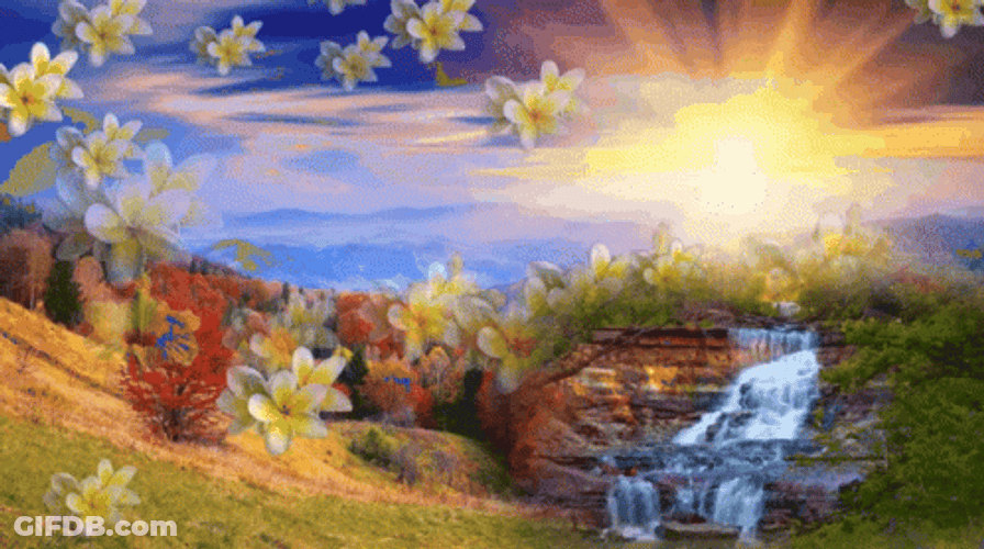 Buenos Dias Flores GIF
