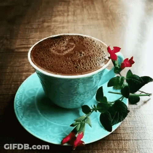 Buenos Dias Flores GIF