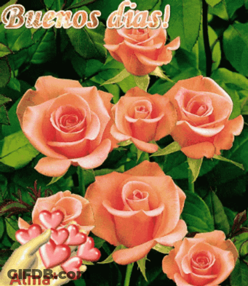 Buenos Dias Flores GIF