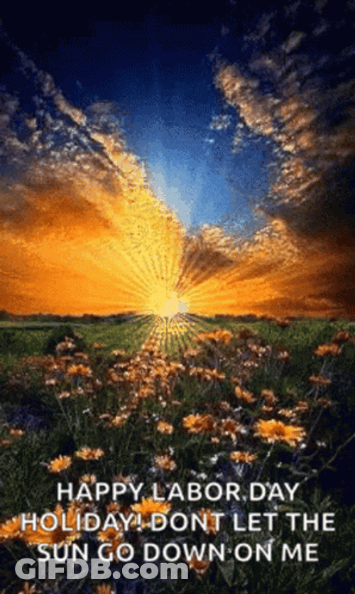 Buenos Dias Flores GIF