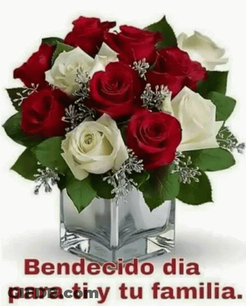 Buenos Dias Flores GIF