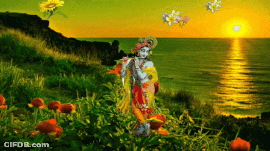 Buenos Dias Flores GIF
