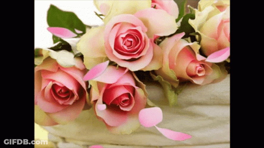 Buenos Dias Flores GIF