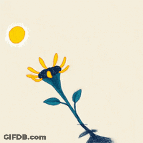 Buenos Dias Flores GIF