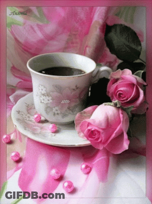 Buenos Dias Flores GIF