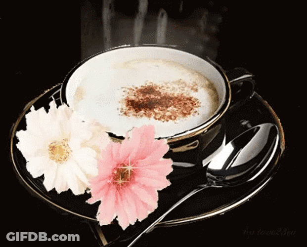 Buenos Dias Flores GIF