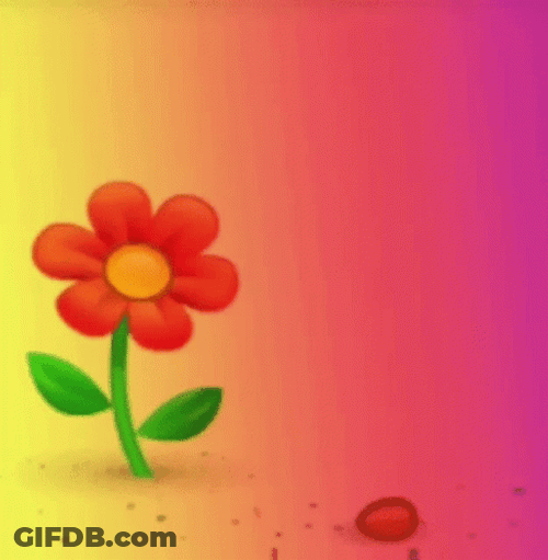 Buenos Dias Flores GIF