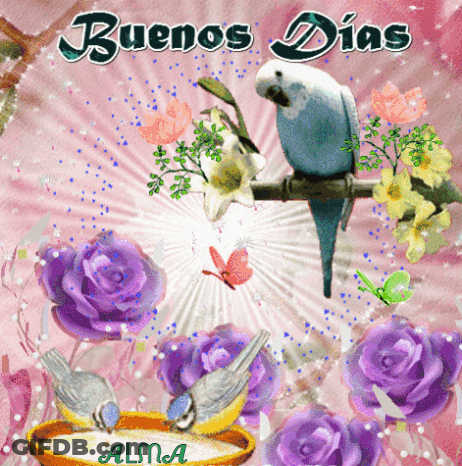 Buenos Dias Greeting Card With Purple Roses And Birds GIF