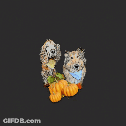 Buenos Dias Halloween GIF