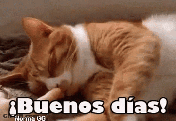 Buenos Dias Hija GIF
