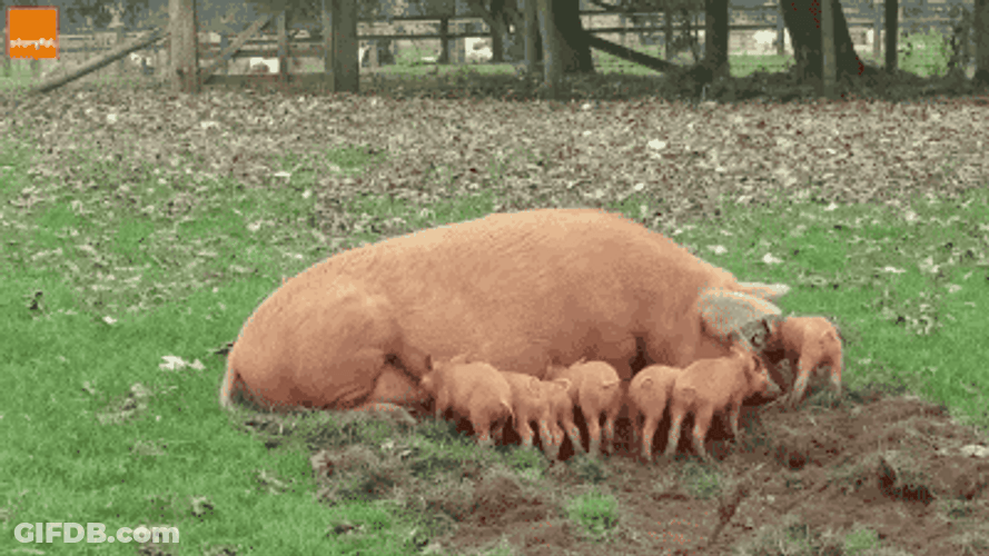 Buenos Dias Hijo GIF
