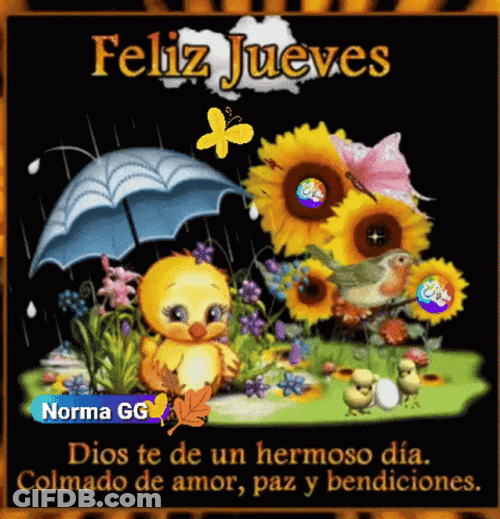 Buenos Dias Jueves GIF