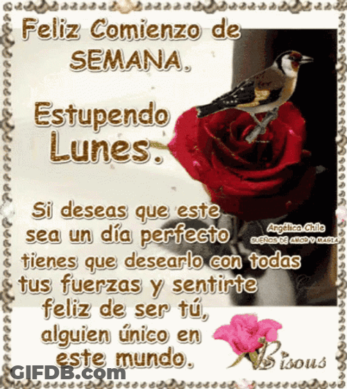 Buenos Dias Lunes GIF