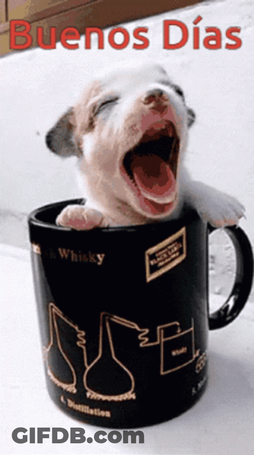 Buenos Dias Lunes GIF