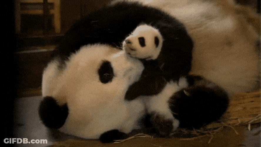 Buenos Dias Mama GIF
