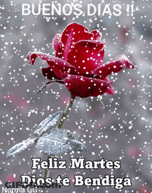 Buenos Dias Martes GIF