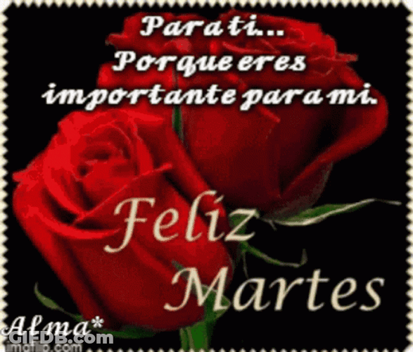 Buenos Dias Martes GIF