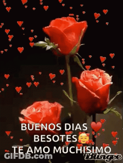 Buenos Dias Mi Amor Romantic Love GIF