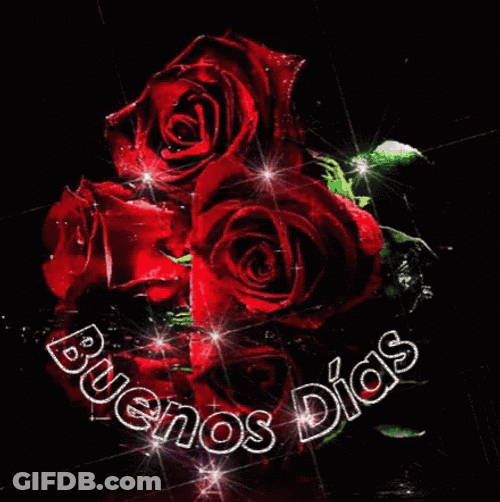 Buenos Dias Mi Amor Sparkling Roses GIF
