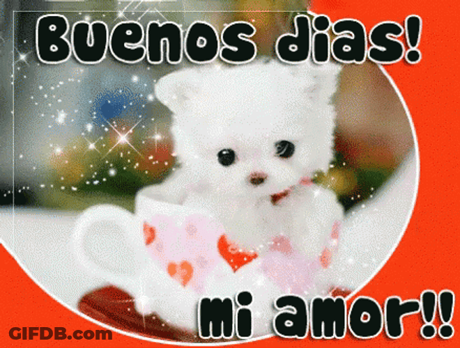 Buenos Dias Mi Amor White Bear Graphic Design GIF