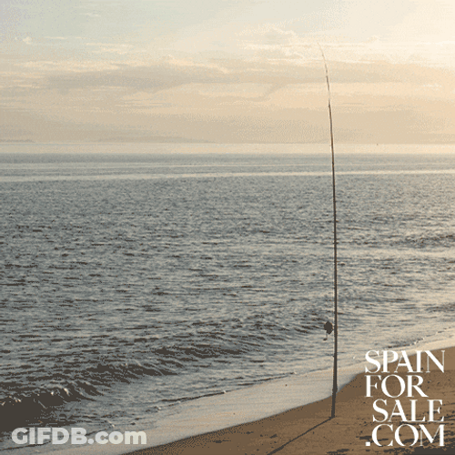 Buenos Dias Miercoles GIF